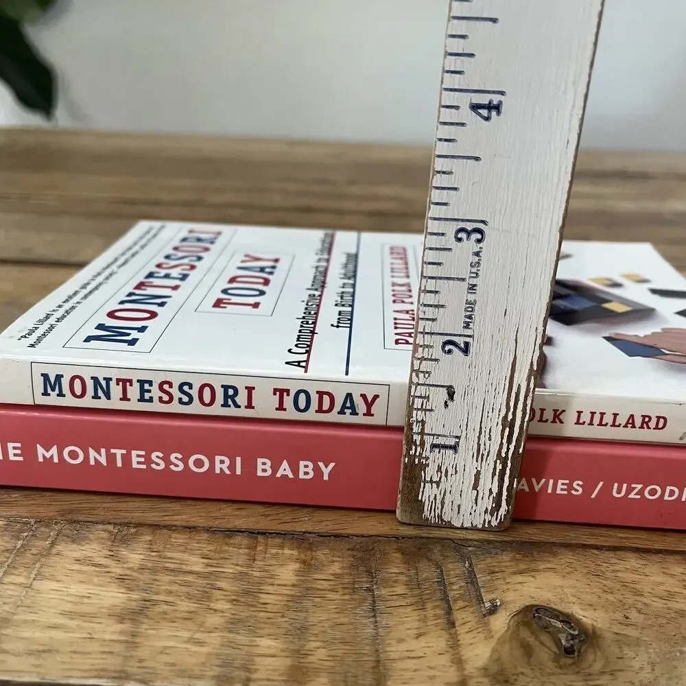 The Montessori Baby and Montessori Today Parenting Guide Book Set